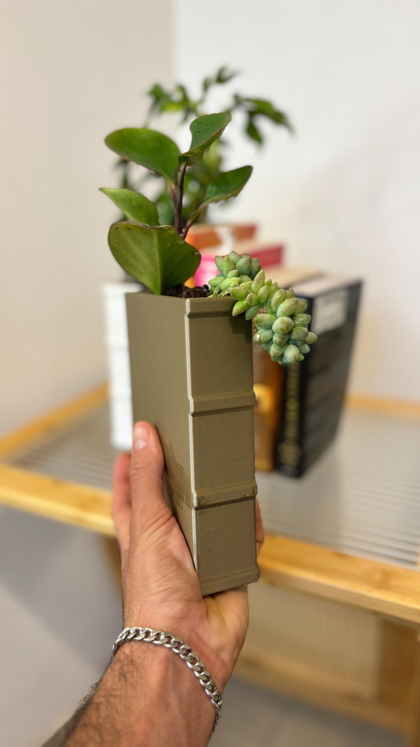 NOVEL | Bookend Planter - Custom Succulent Pot with Water Reservoir, Choice of Size and Color