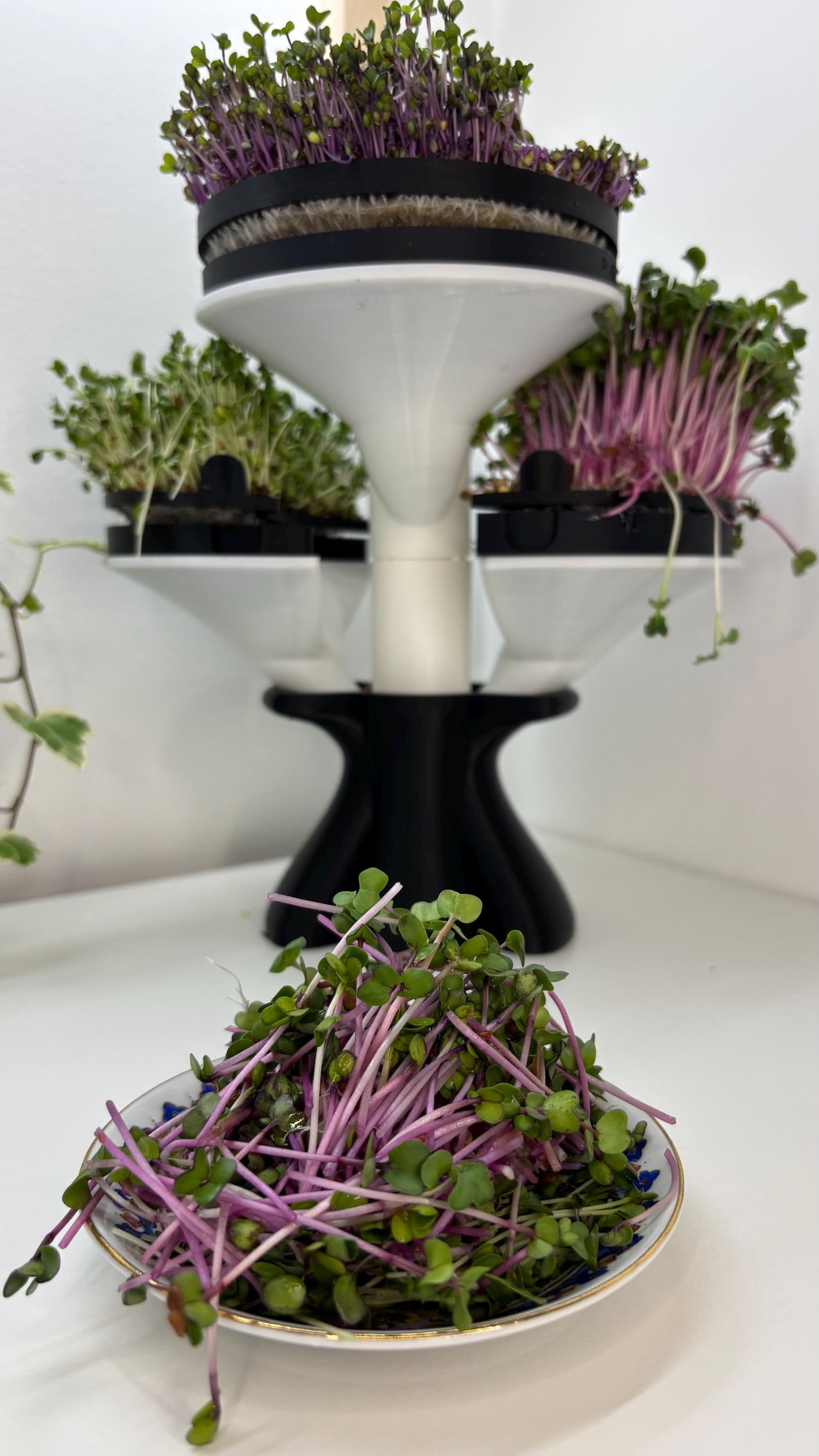 SPROUT | Microgreens Grow Kit - Modular Indoor Garden Tower, Choice of Size and Colors