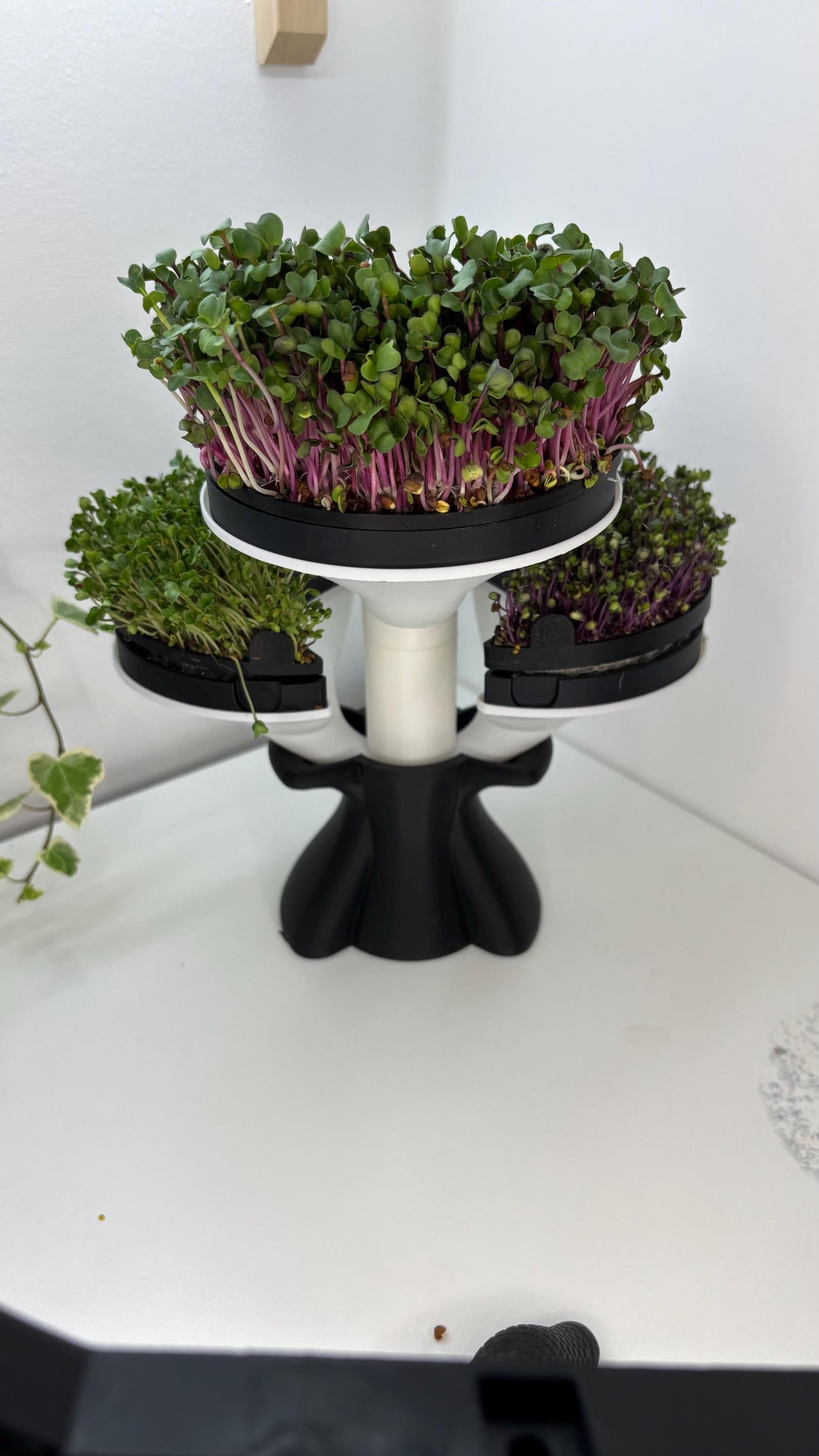 SPROUT | Microgreens Grow Kit - Modular Indoor Garden Tower, Choice of Size and Colors