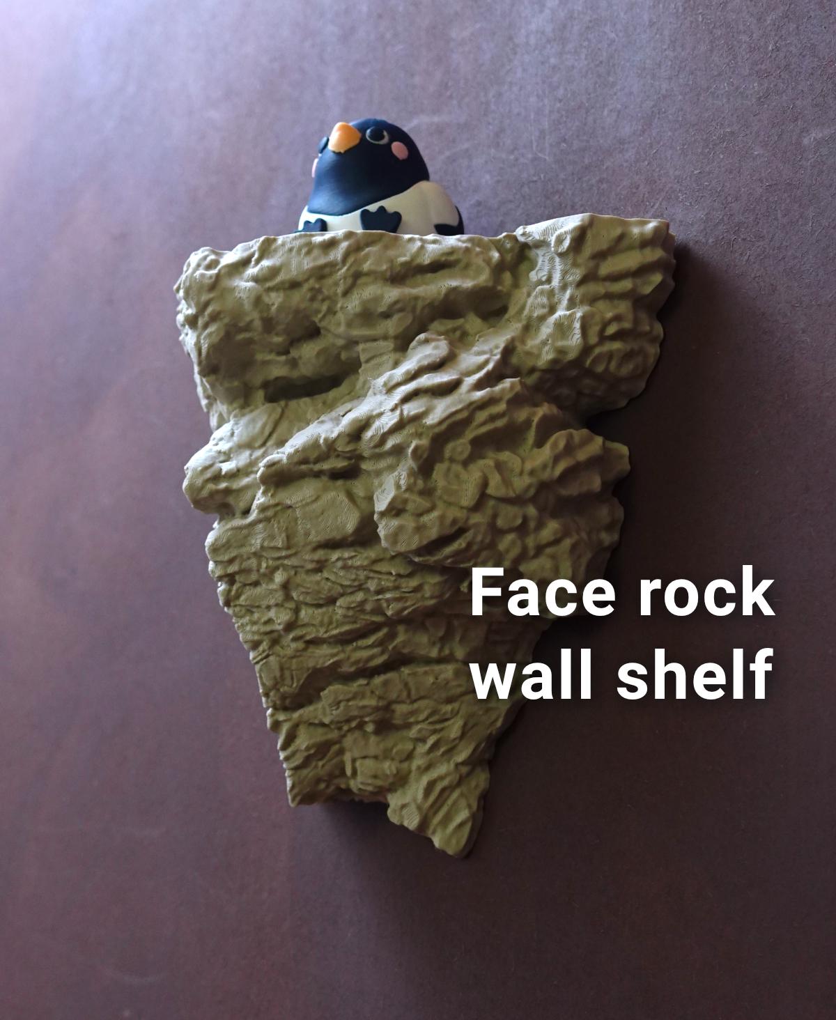 ECHO | 3D Printed Rock Wall Shelf with Hidden Face, Choice of Sizes and Colors