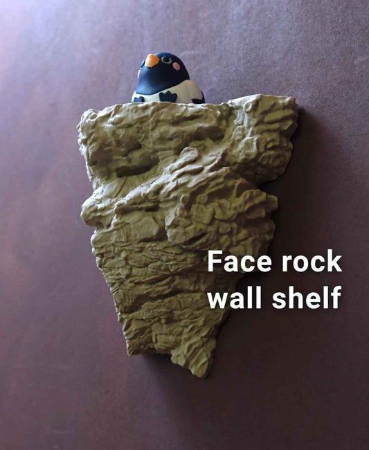 ECHO | 3D Printed Rock Wall Shelf with Hidden Face, Optical Illusion Wall Decor Gift