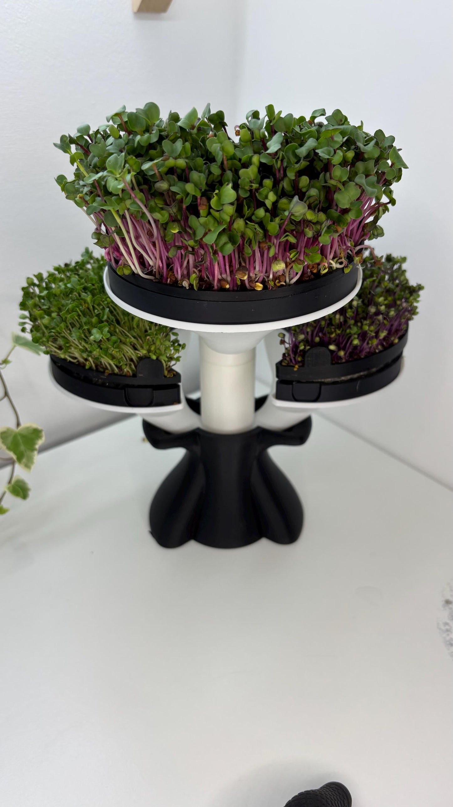 SPROUT | Microgreens Grow Kit -  Modular Indoor Garden Tower, Choice of Size and Colors