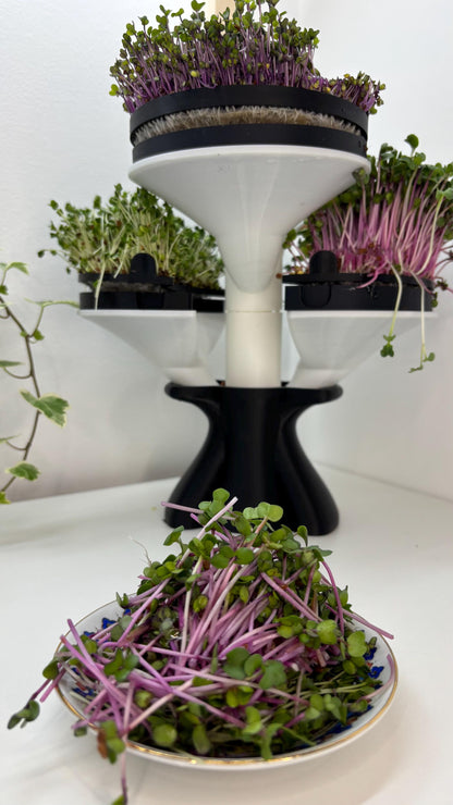 SPROUT | 3D Printed Microgreens Grow Kit, Modular Indoor Garden Tower, Kitchen Herb Growing Gift