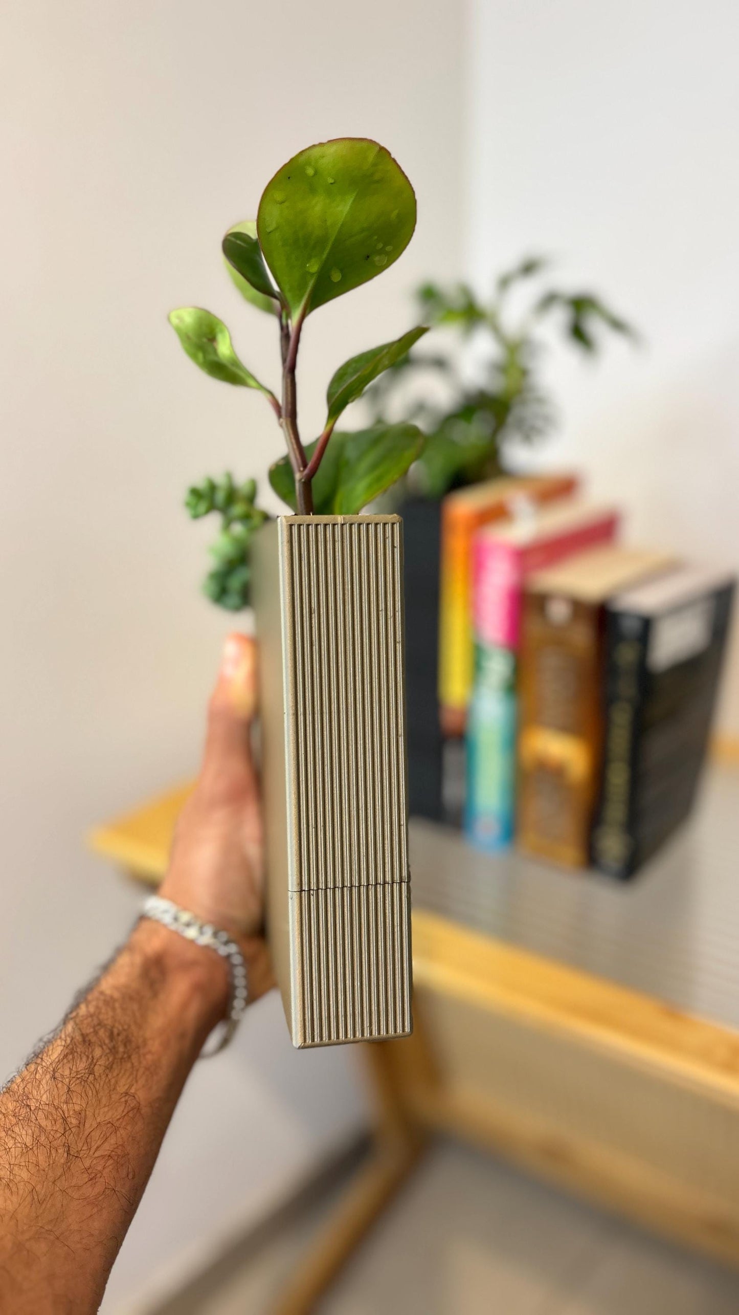 NOVEL | Bookend Planter - Custom Succulent Pot with Water Reservoir, Choice of Size and Color