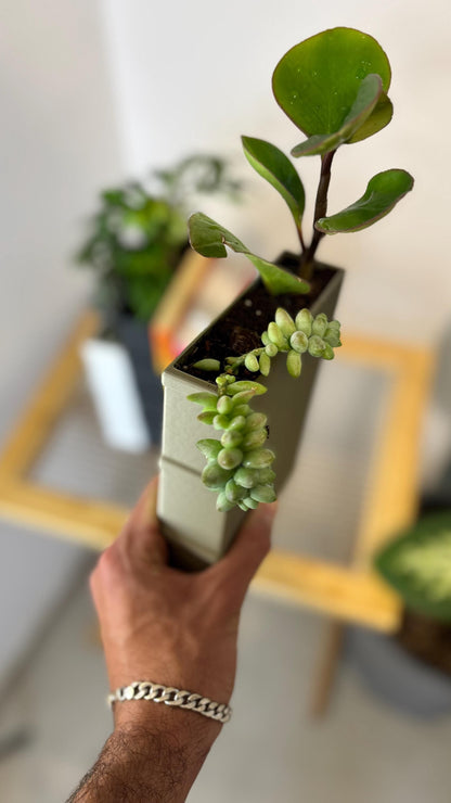 NOVEL | 3D Printed Book Shaped Bookend Planter, Succulent Pot, Book Lover Plant Gift