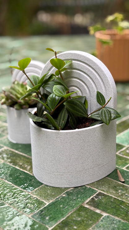 ROOT | 3D Printed Bookend Planter, Succulent Pot with Water Reservoir, Desk Shelf Decor Gift