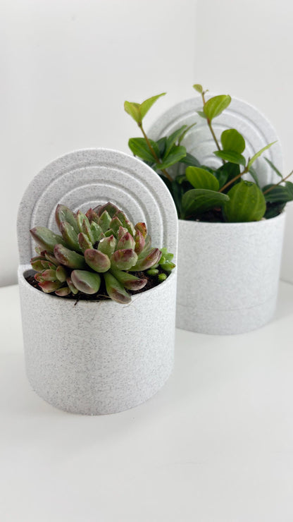 ROOT | 3D Printed Bookend Planter, Succulent Pot with Water Reservoir, Desk Shelf Decor Gift