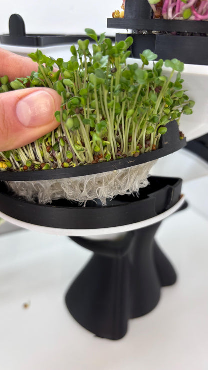 SPROUT | 3D Printed Microgreens Grow Kit, Modular Indoor Garden Tower, Kitchen Herb Growing Gift