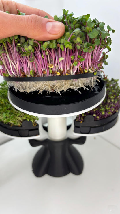 SPROUT | 3D Printed Microgreens Grow Kit, Modular Indoor Garden Tower, Kitchen Herb Growing Gift