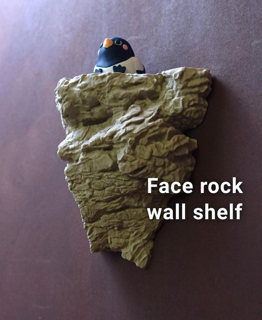 ECHO | 3D Printed Rock Wall Shelf with Hidden Face, Choice of Sizes and Colors