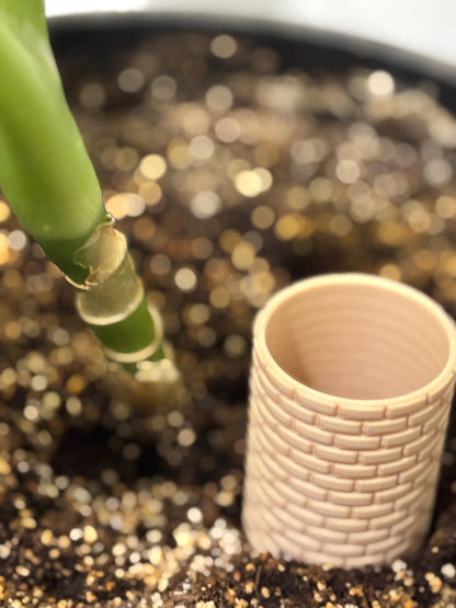WELLIE | 3D Printed Self-Watering Plant Spike, Drip Irrigation for Houseplants, Plant Lover Gift